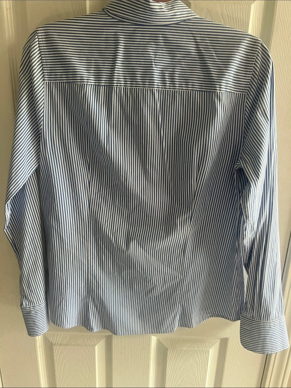 J. Crew Blue and White Vertical Stripe Dress Shirt